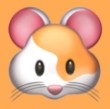97资源超碰APPAPP应用