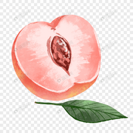 蜜桃视频最新版APPAPP应用