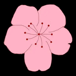 桃花视频APP应用
